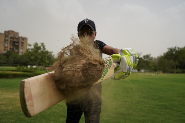 Cricket Bats