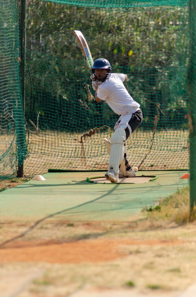 Professional cricket player