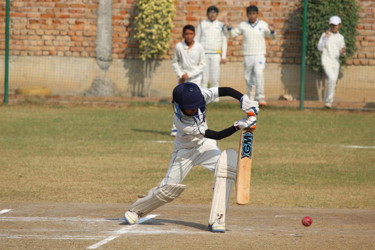 cricket gloves